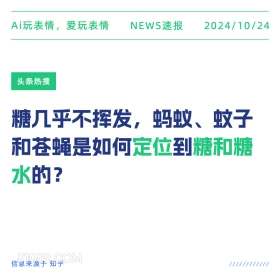 糖几乎不挥发 2024年10月24日 新闻 头条热搜