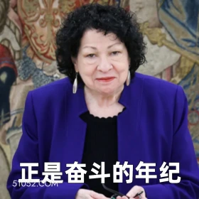 正是奋斗的年纪 2024年11月14日 恶搞新闻 最高法院大法官