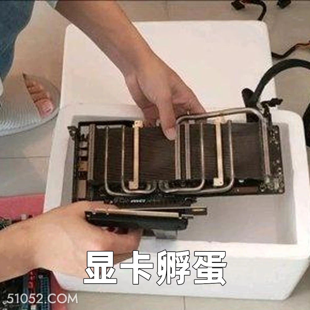 显卡孵蛋 2025年02月06日 恶搞 恶搞新闻 显卡