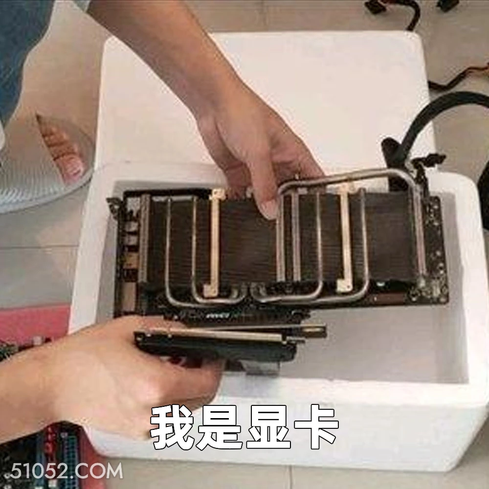 我是显卡 2025年02月06日 恶搞 恶搞新闻 显卡
