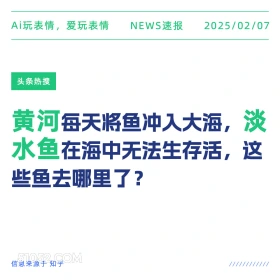 黄河淡水鱼 2025年02月07日 新闻 头条热搜