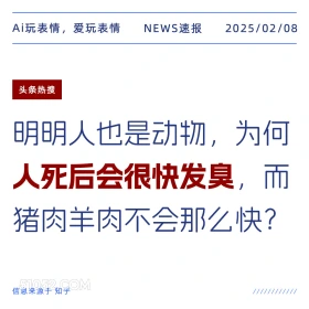 人死后会发臭 2025年02月08日 新闻 头条热搜