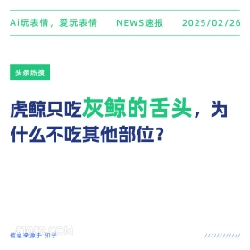 灰鲸的舌头 2025年02月26日 新闻 头条热搜