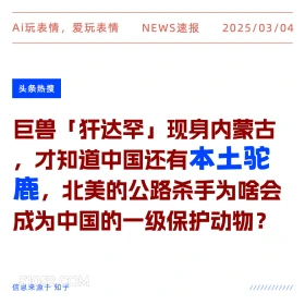 本土驼鹿 2025年03月04日 新闻 头条热搜