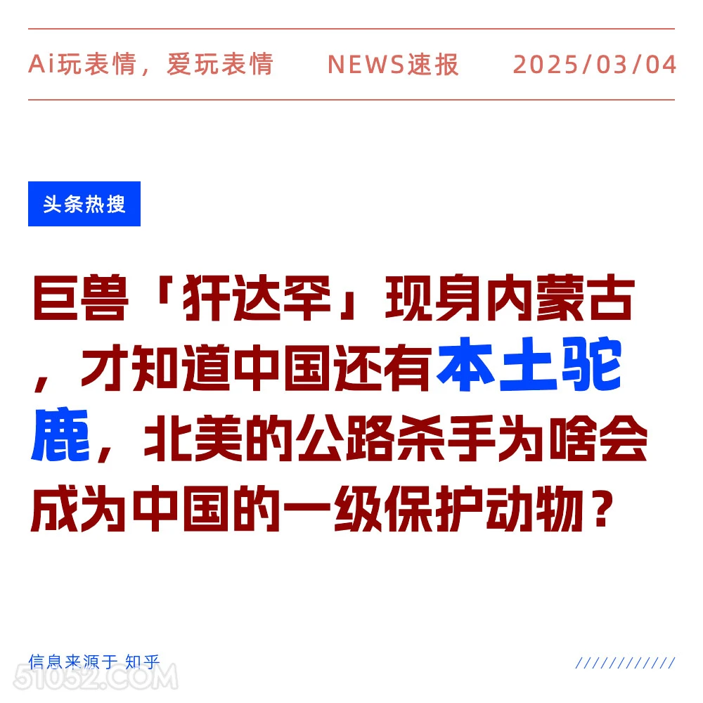 本土驼鹿 2025年03月04日 新闻 头条热搜