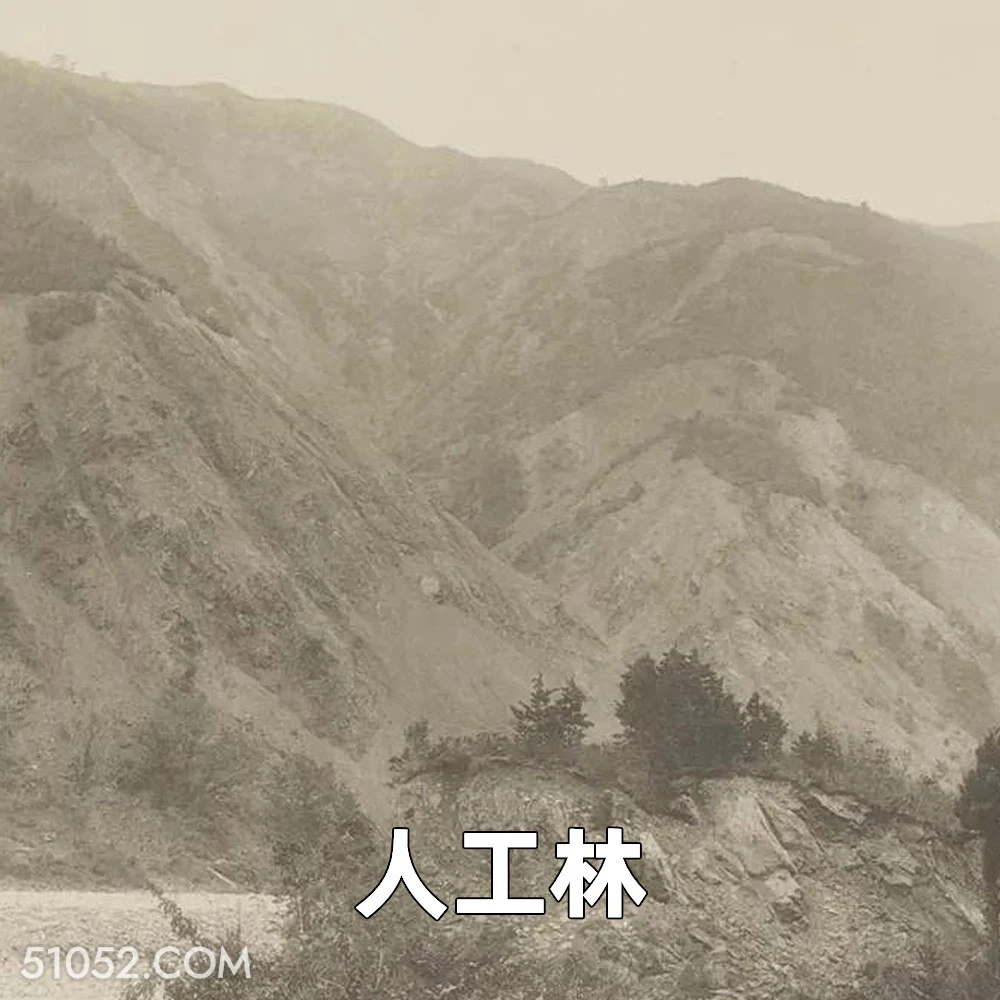 人工林 2025年04月14日 恶搞 恶搞新闻