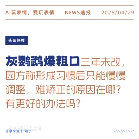 灰鹦鹉爆粗口1 2025年04月29日 新闻 头条热搜