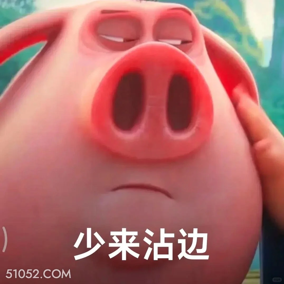 少来沾边 哪吒 电影 飞天猪 搞笑表情