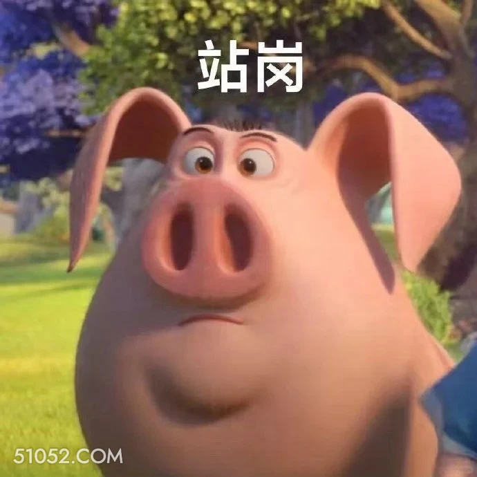 站岗 哪吒 电影 飞天猪 搞笑表情