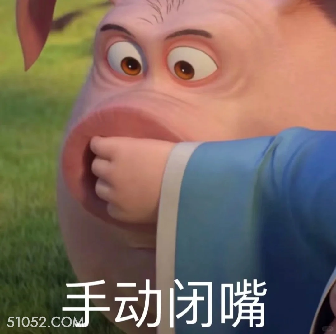 手动闭嘴 哪吒 电影 飞天猪 搞笑表情