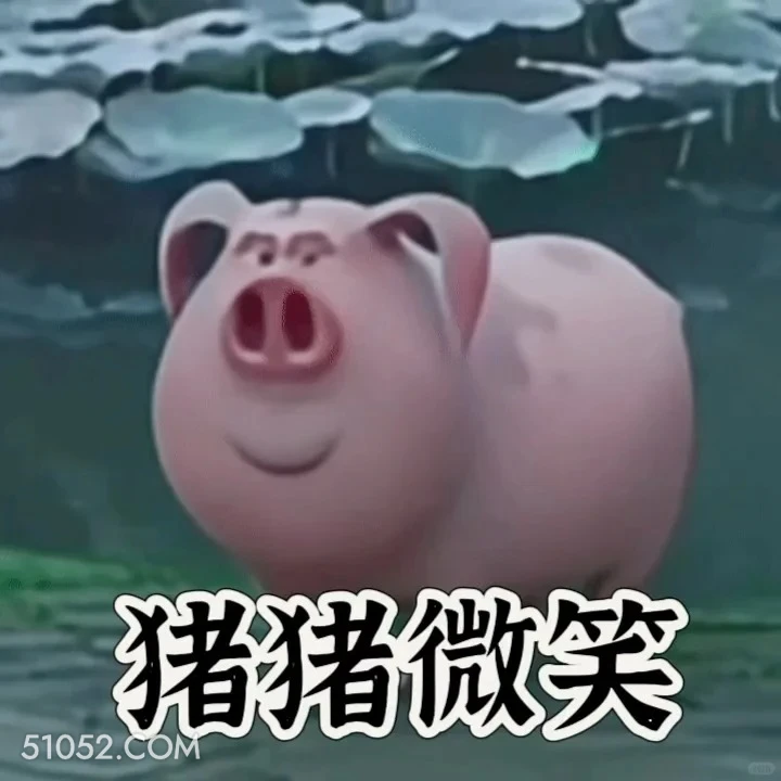 猪猪微笑 哪吒 电影 飞天猪 搞笑表情
