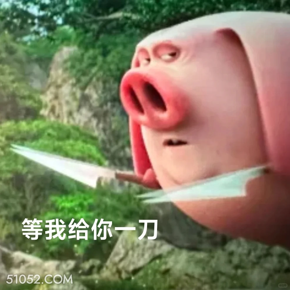 我给你一刀 哪吒 电影 飞天猪 搞笑表情