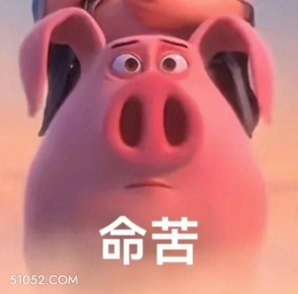命苦 哪吒 电影 飞天猪 搞笑表情