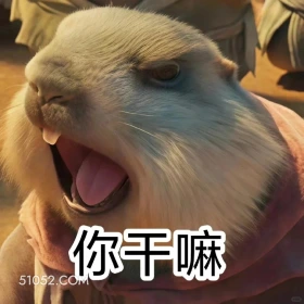 你干嘛 哪吒 电影 搞笑表情 申公豹