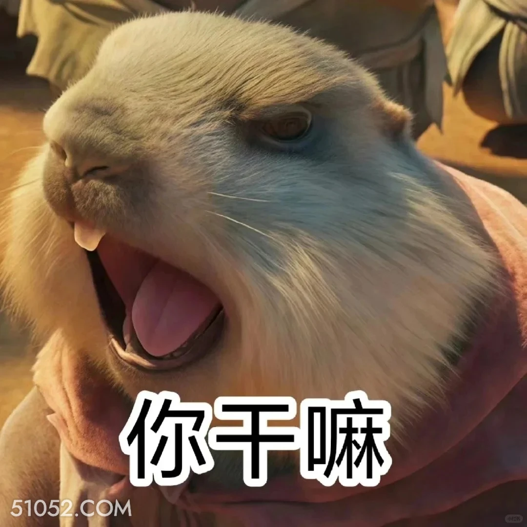 你干嘛 哪吒 电影 搞笑表情 申公豹