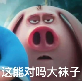 这对吗 哪吒 电影 飞天猪 搞笑表情