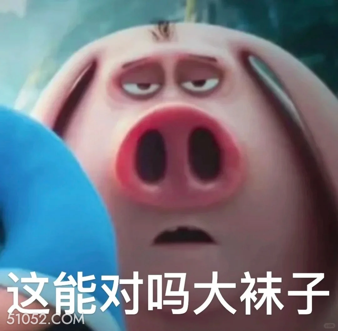 这对吗 哪吒 电影 飞天猪 搞笑表情