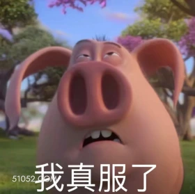 我真服了 哪吒 电影 飞天猪 搞笑表情