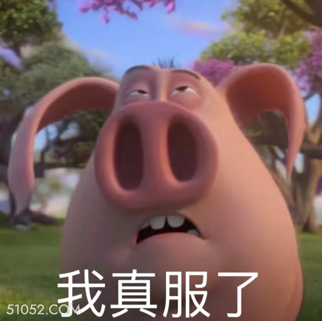 我真服了 哪吒 电影 飞天猪 搞笑表情