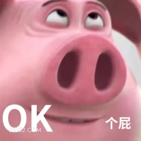 ok个屁 哪吒 电影 飞天猪 搞笑表情