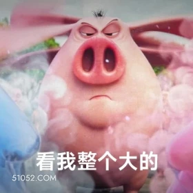 看我整个大的 哪吒 电影 飞天猪 搞笑表情