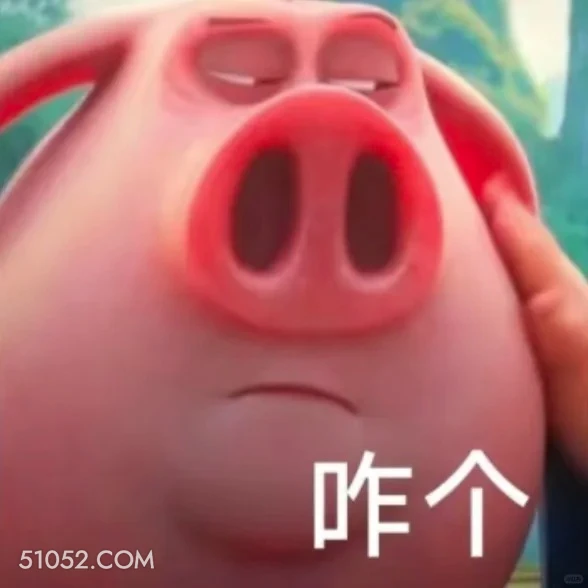 咋滴 哪吒 电影 飞天猪 搞笑表情