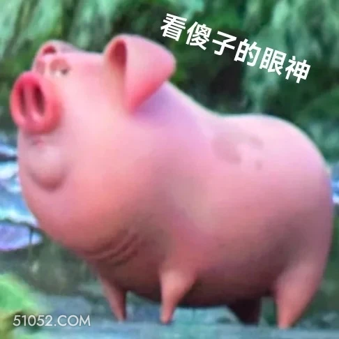 看傻子的眼神 哪吒 电影 飞天猪 搞笑表情
