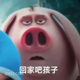 回家吧孩子 哪吒 电影 飞天猪 搞笑表情