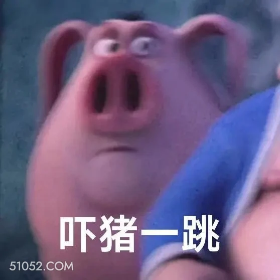 吓一跳 哪吒 电影 飞天猪 搞笑表情