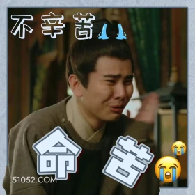不辛苦命苦 掌心 影视剧 刘诗诗 搞笑表情
