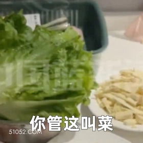 恶搞新闻 2025年05月09日 恶搞 恶搞新闻 上门做饭 私厨