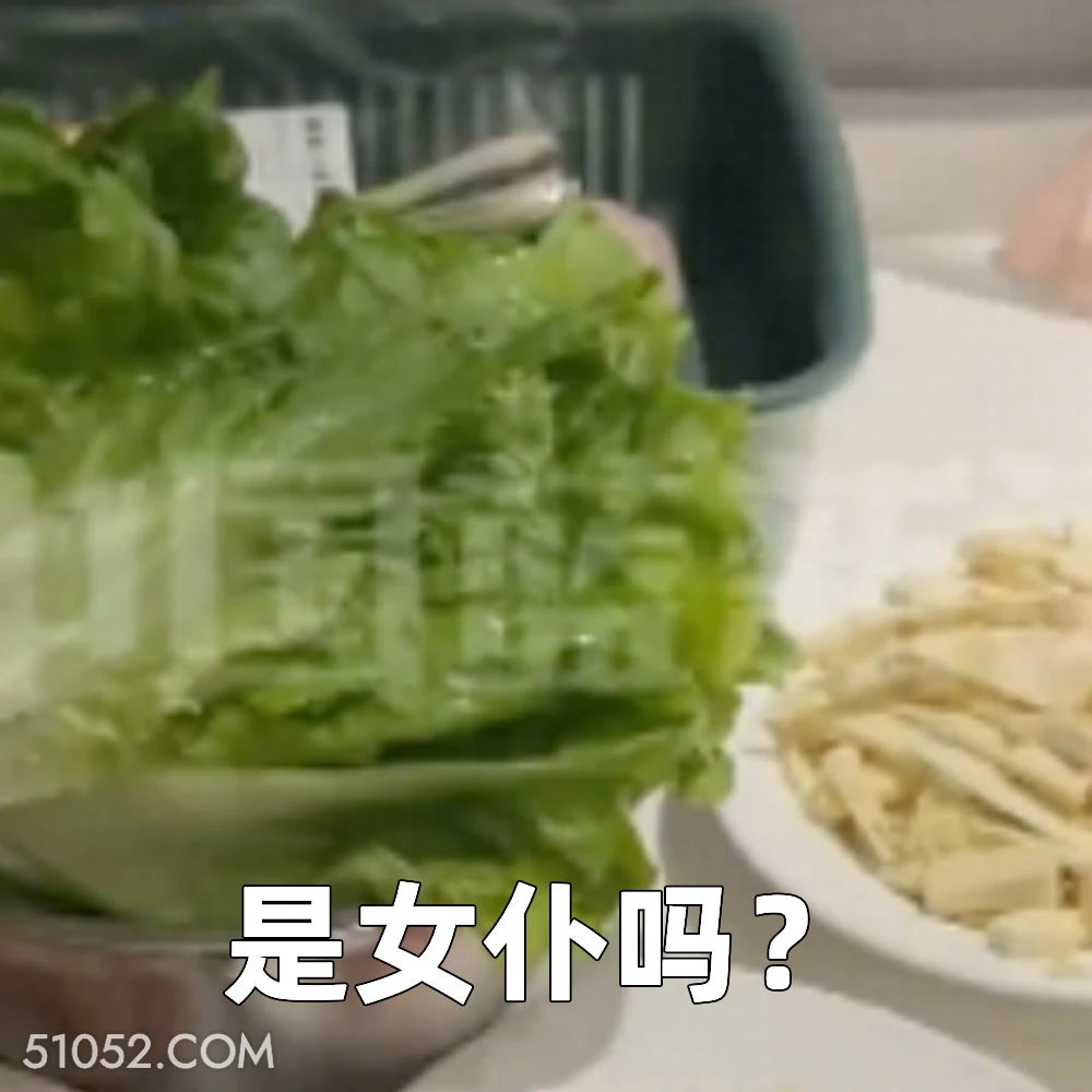 是女仆吗 2025年05月09日 恶搞 恶搞新闻 上门做饭 私厨