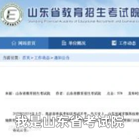 我是山东省考试院 2025年05月15日 恶搞 恶搞新闻 高考 补考