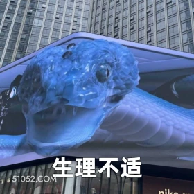 生理不适 2025年05月19日 恶搞 恶搞新闻 广告 蛇 不适