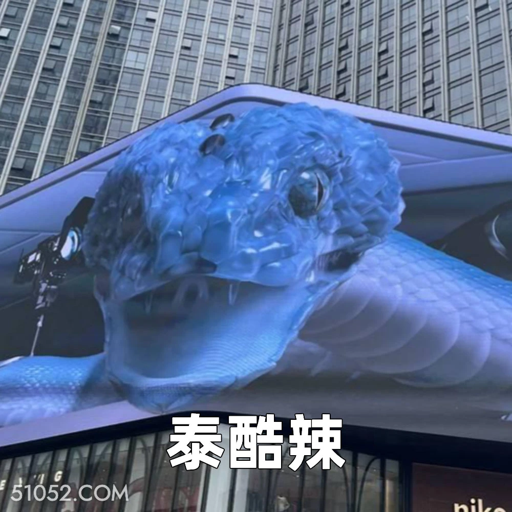 泰酷辣 2025年05月19日 恶搞 恶搞新闻 广告 蛇 不适