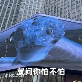 就问你怕不怕 2025年05月19日 恶搞 恶搞新闻 广告 蛇 不适