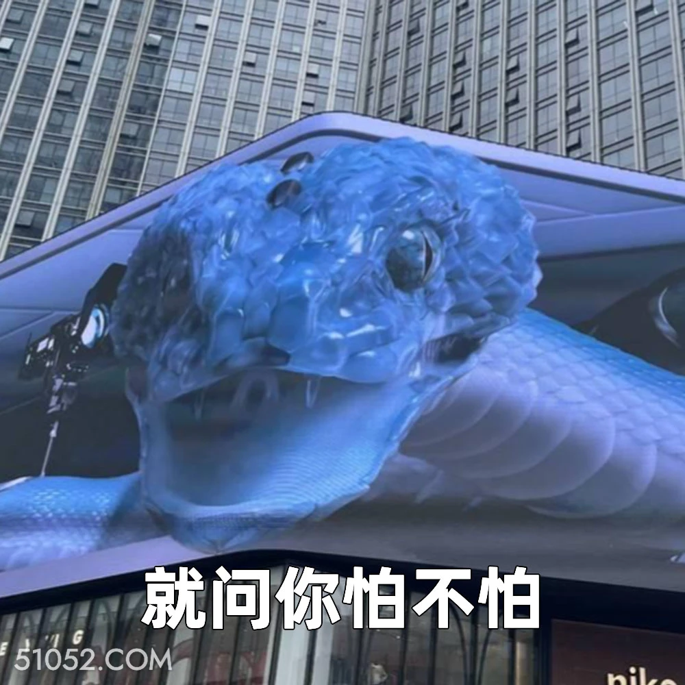 就问你怕不怕 2025年05月19日 恶搞 恶搞新闻 广告 蛇 不适