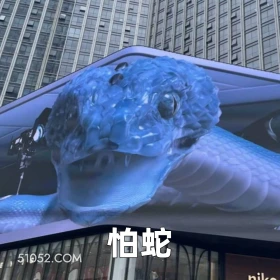 怕蛇 2025年05月19日 恶搞 恶搞新闻 广告 蛇 不适