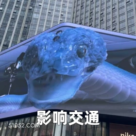 影响交通 2025年05月19日 恶搞 恶搞新闻 广告 蛇 不适