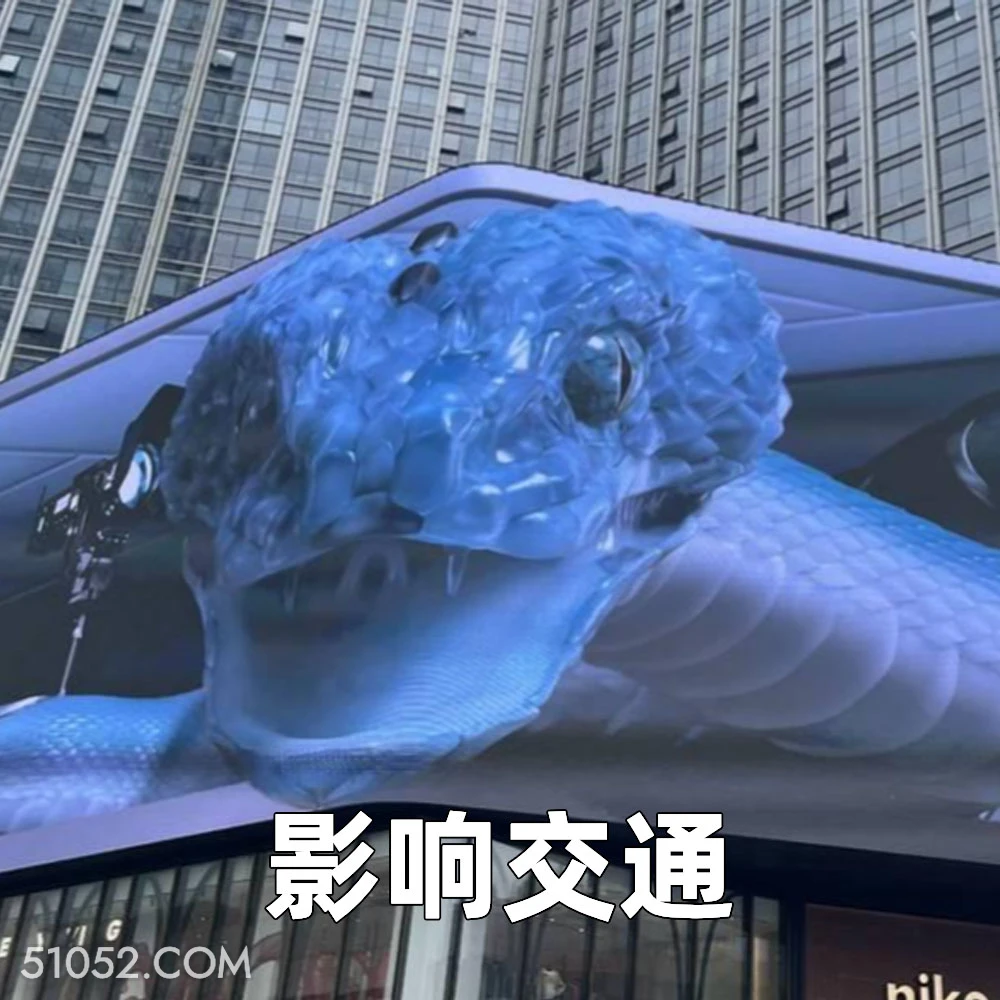 影响交通 2025年05月19日 恶搞 恶搞新闻 广告 蛇 不适