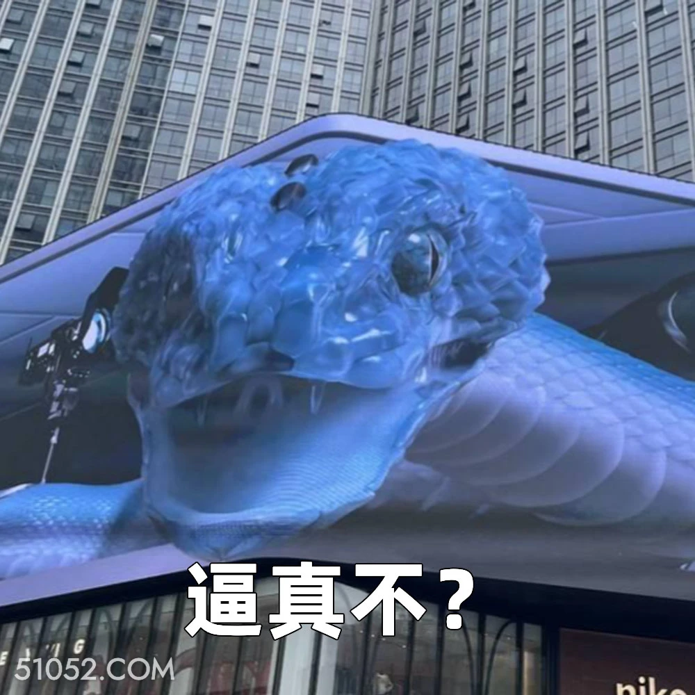 逼真不？ 2025年05月19日 恶搞 恶搞新闻 广告 蛇 不适