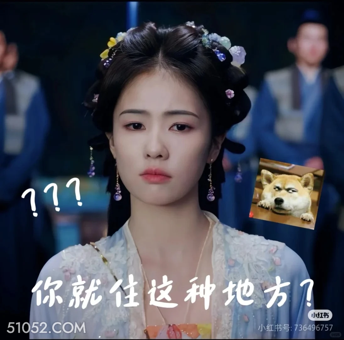 你就住这种地方 白月梵星 影视追剧 搞笑表情 白鹿 代露娃