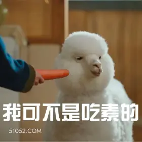 我可不是吃素的 滤镜 影视追剧 搞笑表情 檀健次 李兰迪