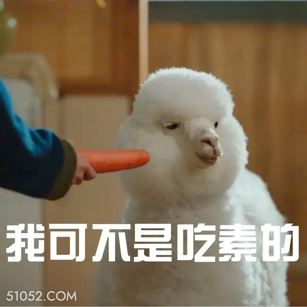 我可不是吃素的 滤镜 影视追剧 搞笑表情 檀健次 李兰迪