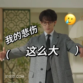 我的悲伤这么大 滤镜 影视追剧 搞笑表情 李兰迪 檀健次