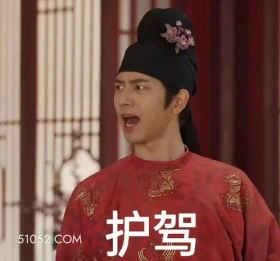 护驾 国色芳华 影视追剧 搞笑表情 李现 杨紫