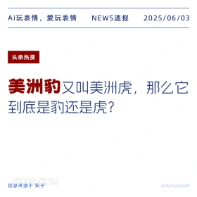 美洲豹 2025年06月03日 新闻 头条热搜