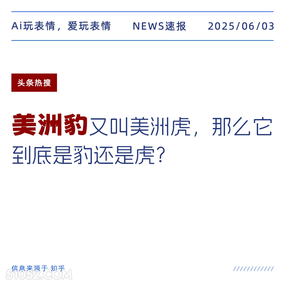 美洲豹 2025年06月03日 新闻 头条热搜