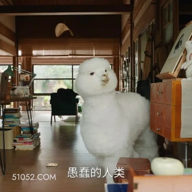 愚蠢的人类 滤镜 影视追剧 搞笑表情 檀健次 李兰迪