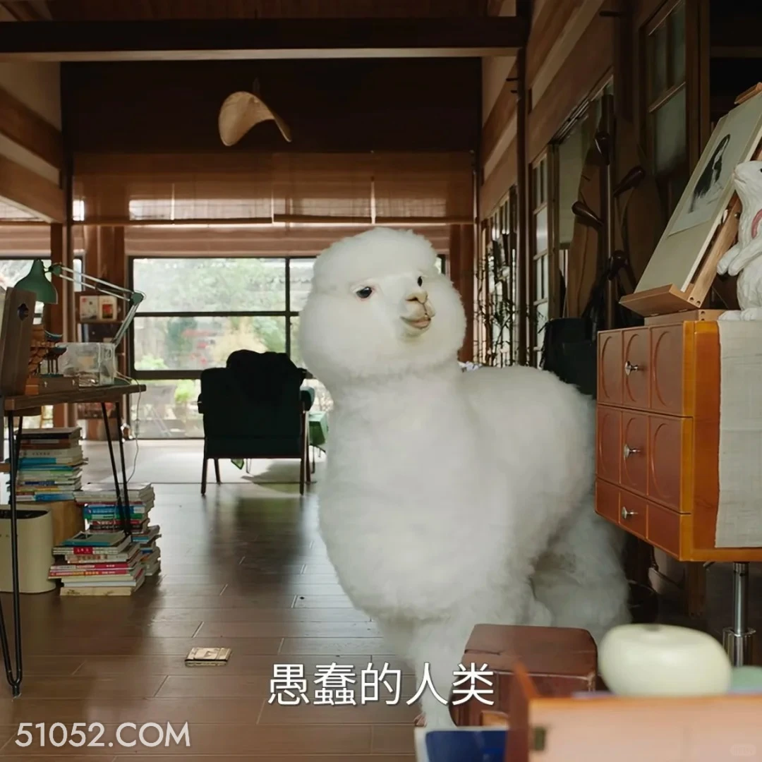 愚蠢的人类 滤镜 影视追剧 搞笑表情 檀健次 李兰迪